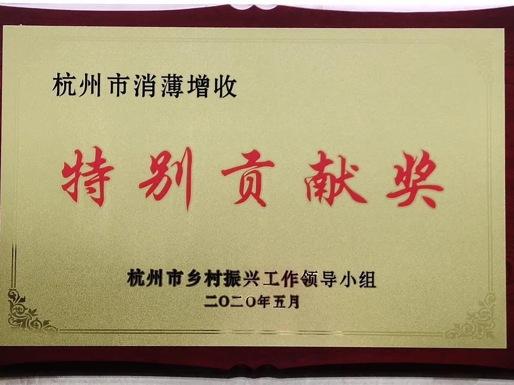 1591149577197244X0qe.jpg 特别贡献奖.jpg